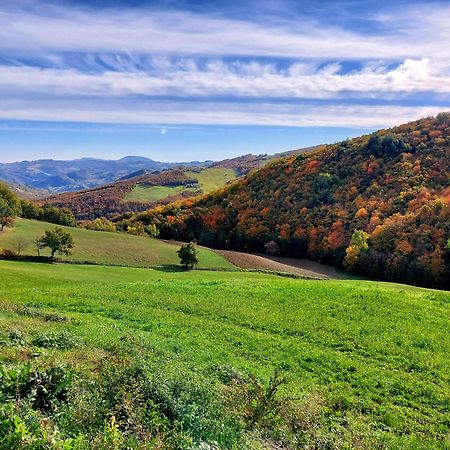 Casa Barattini Bed & Breakfast Zocchetta Екстериор снимка