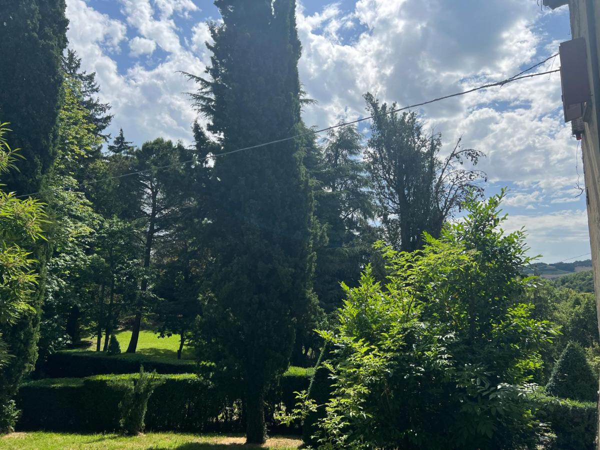 Casa Barattini Bed & Breakfast Zocchetta Екстериор снимка