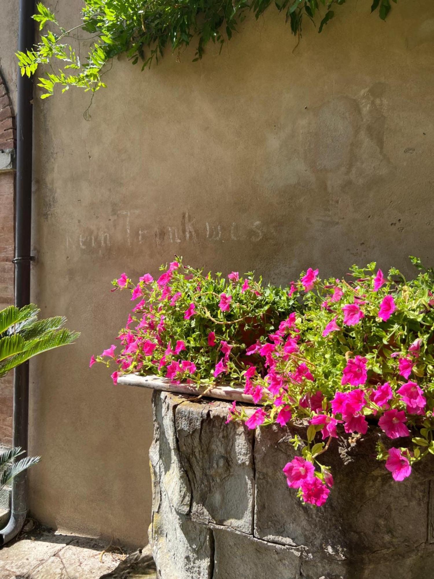Casa Barattini Bed & Breakfast Zocchetta Екстериор снимка